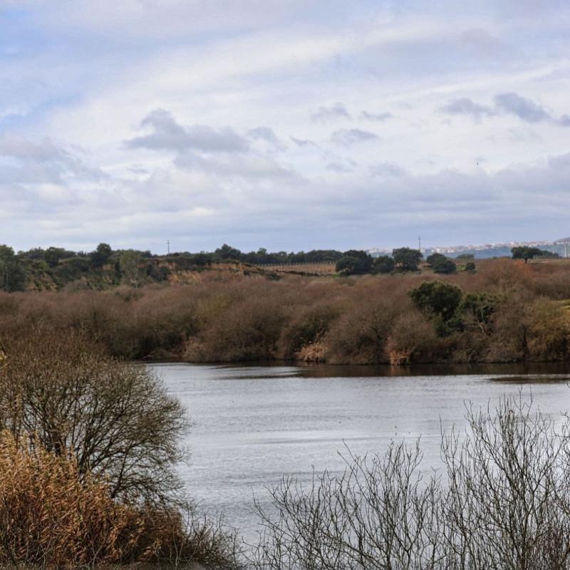 Image of the Paul da Gouxa, unique wetland in Portugal