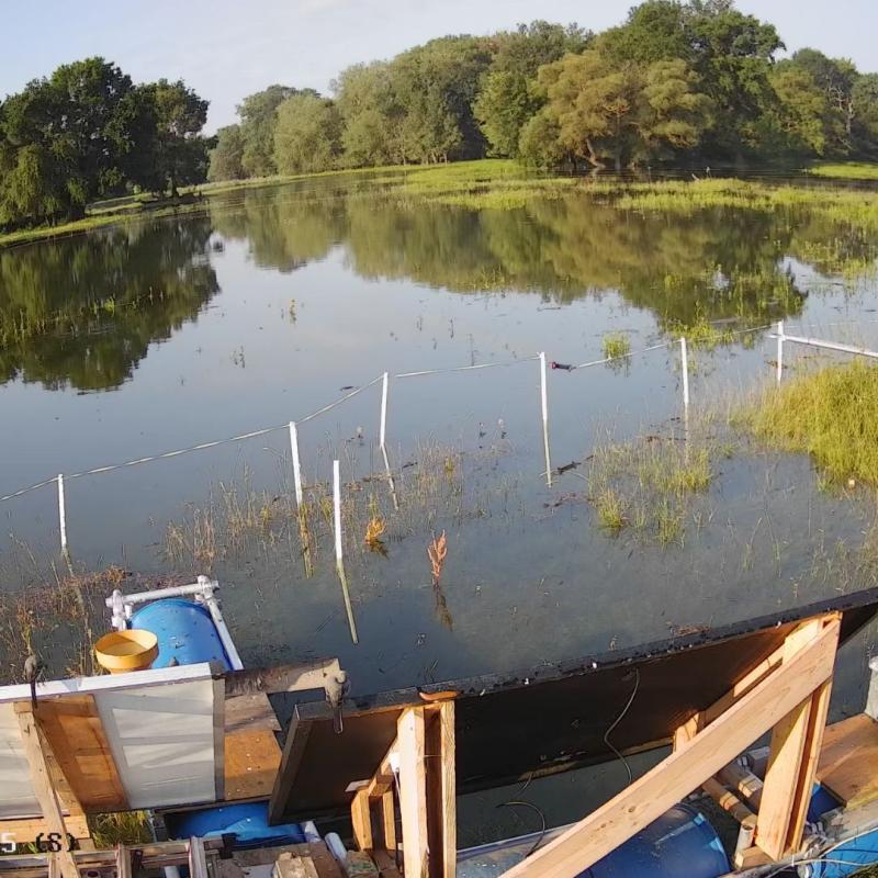 The floodplain in Morava river flooded