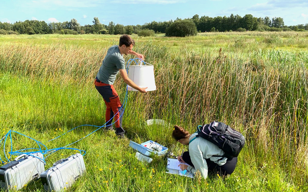REWET researchers positioning mobile measurement equipments in a wetland